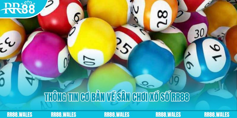 pk xd đá gà hôm nay