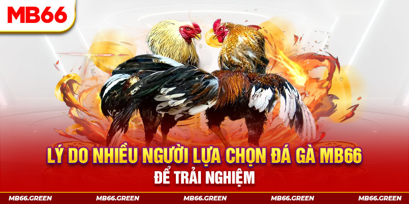 KA Điện Tử