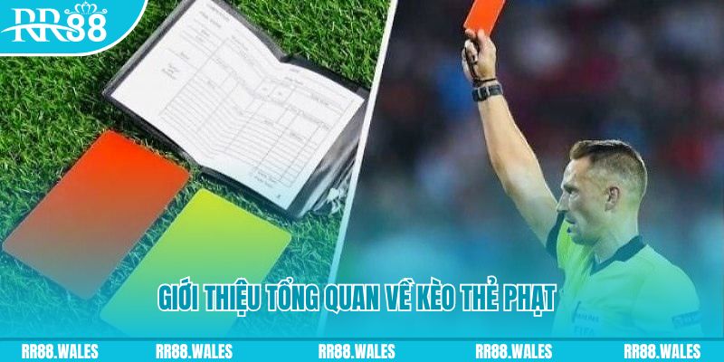 pk xd những ai nên chơi nổ hũ